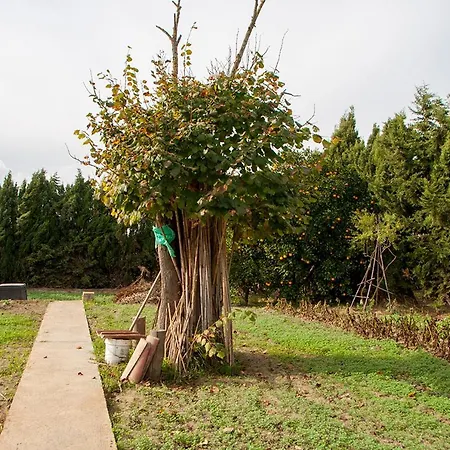 Cal Romani Ecohouse * Pals
